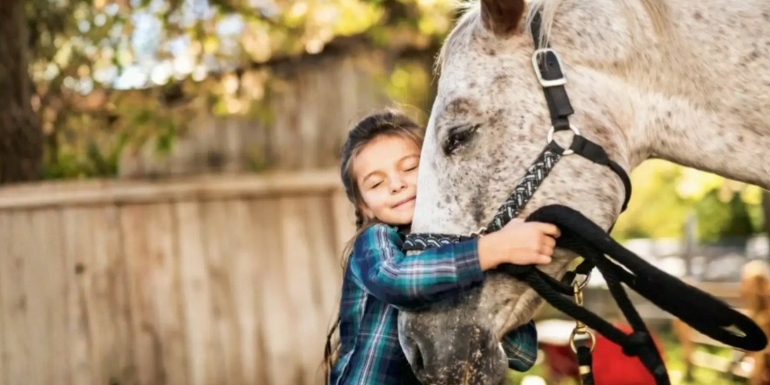 Хотели сдать старую лошадь на мясо. Но дали ей вторую жизнь, а она спасла девушку инвалида