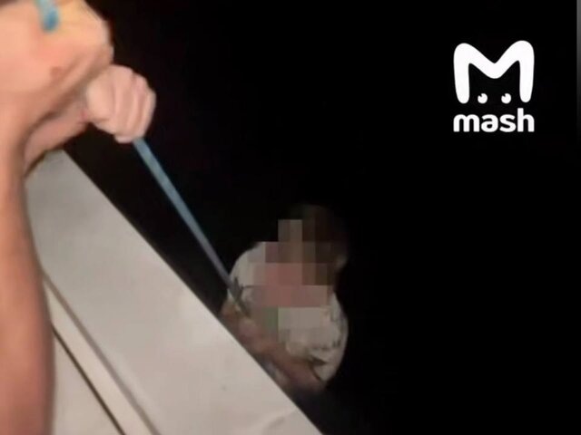    Фото: телеграм-канал Mash