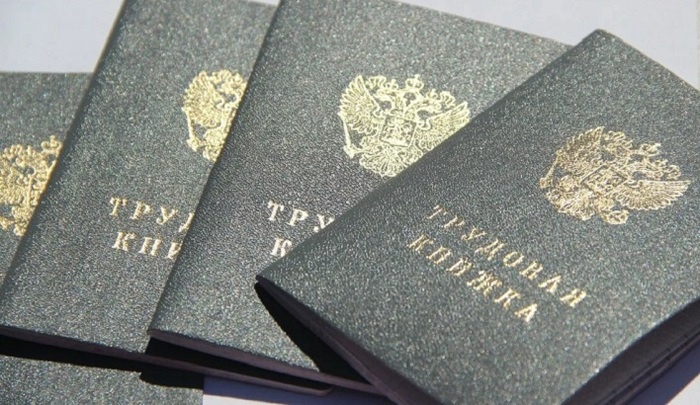    Эксперт предупредила о рисках ошибок в трудовых книжках для будущей пенсии