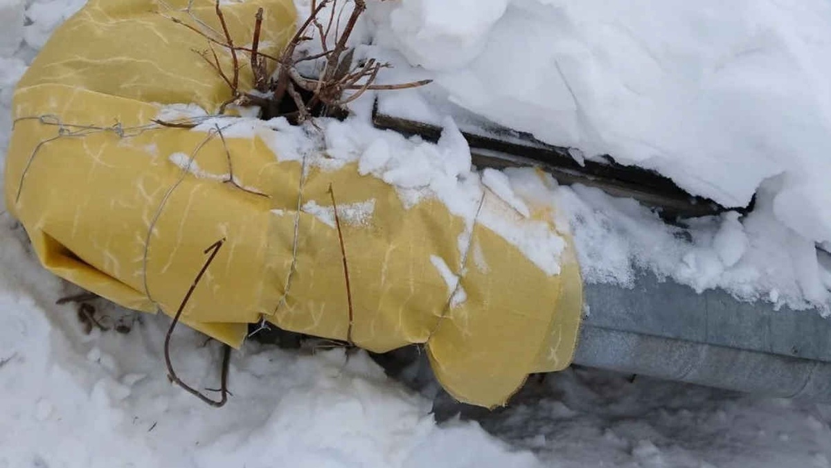    МУП КМО «Теплодом»