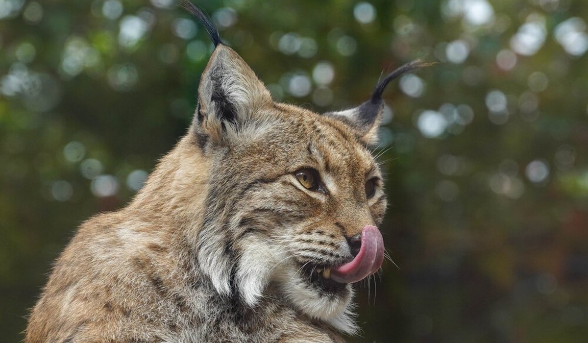    Фото: Агентство городских новостей "Москва"