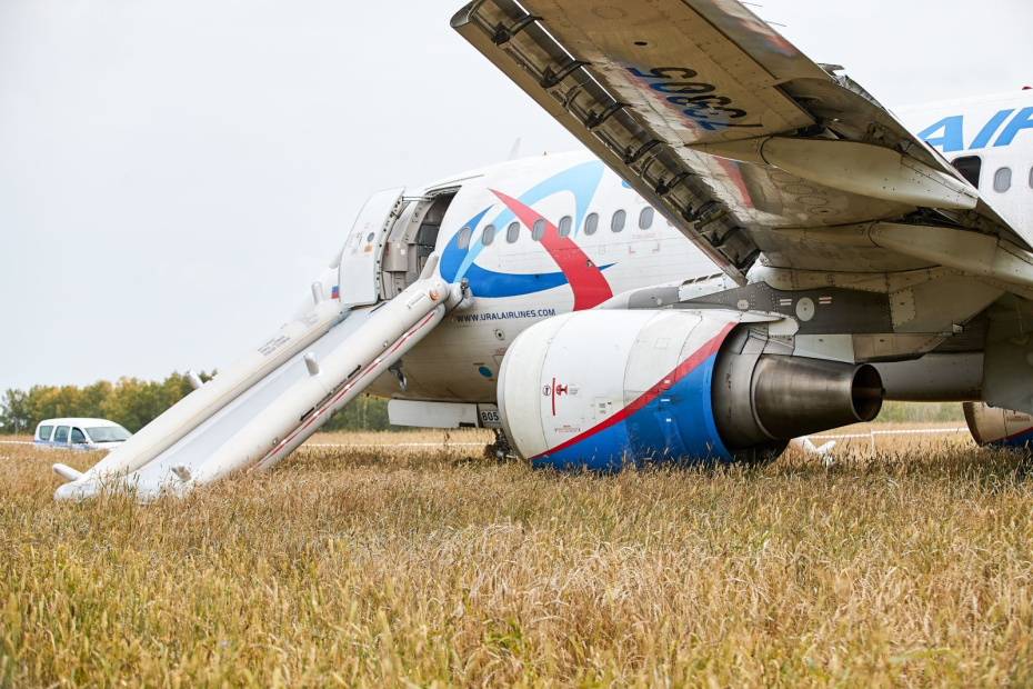    Стрингер/NEWS.ru