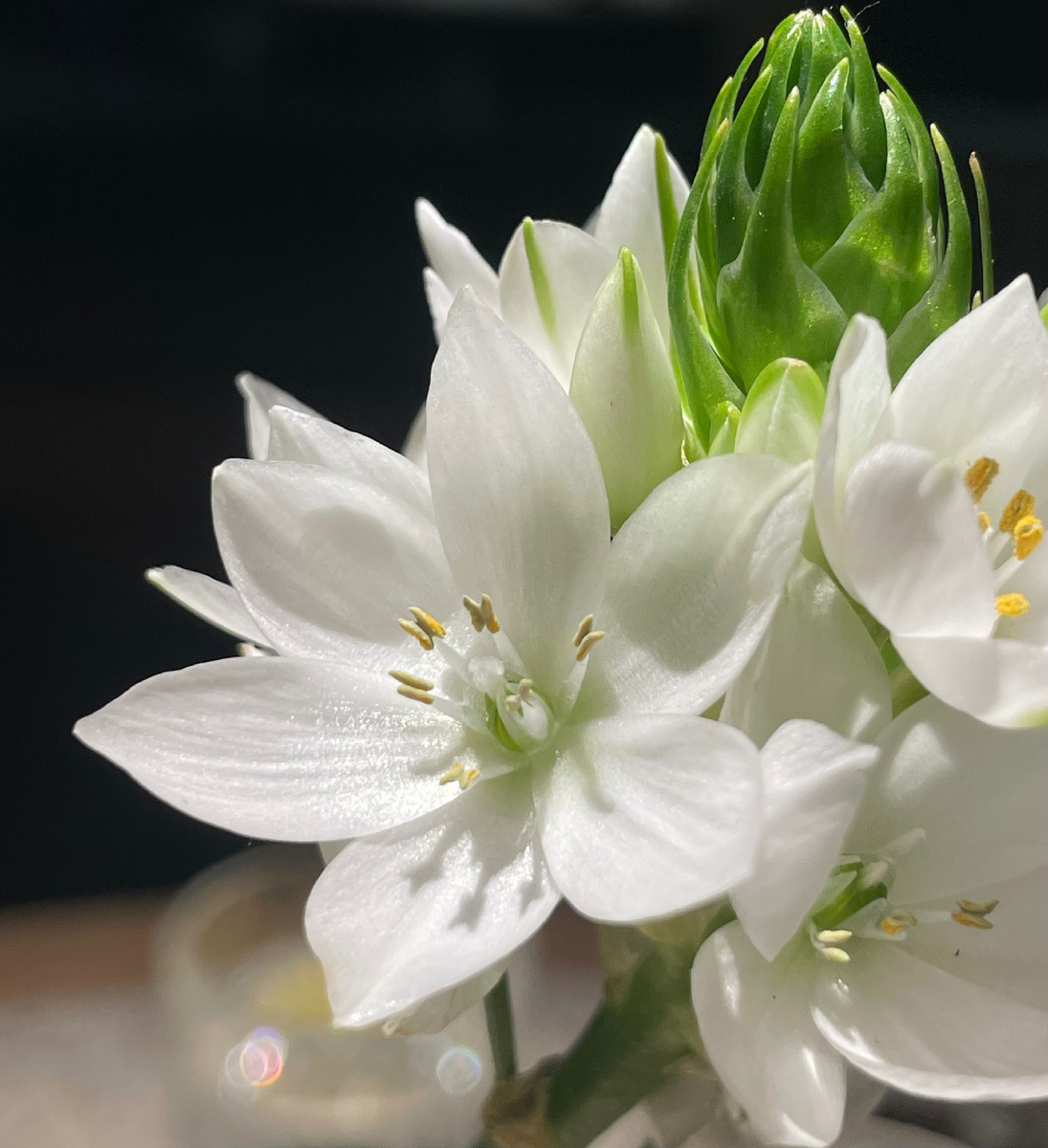 На столах стоят живые и эстетичные цветочки 😍