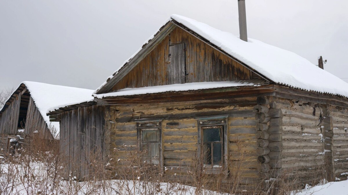    Фото: Dmitry Strizhakov / Shutterstock / Fotodom