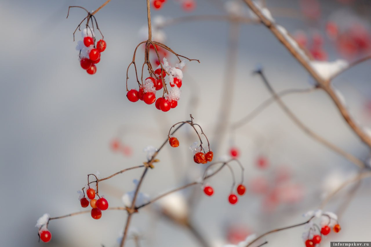 Фото: ПАИ. Анастасия Куртеева