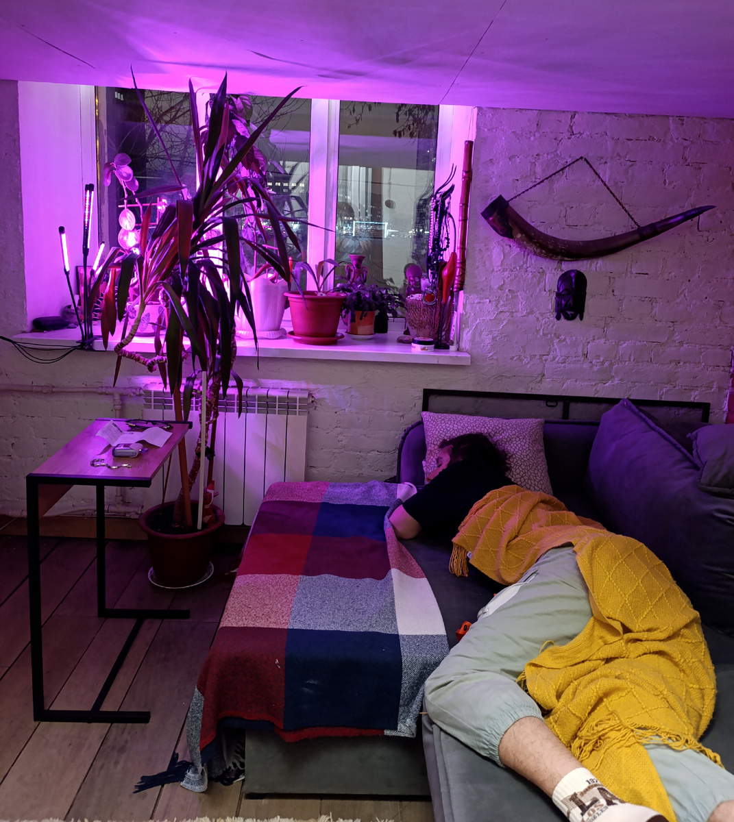 Мой сладкий. 😍😁