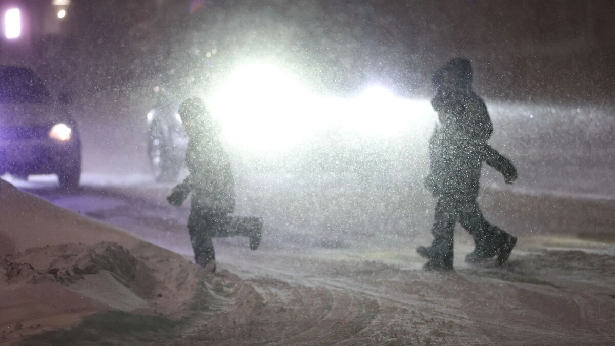    Фото: Андрей Ткачев/«Ямал-Медиа»