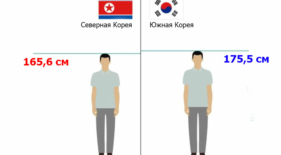 Почему южные корейцы выше северных, хотя это один народ