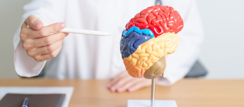    Shutterstock/FOTODOM