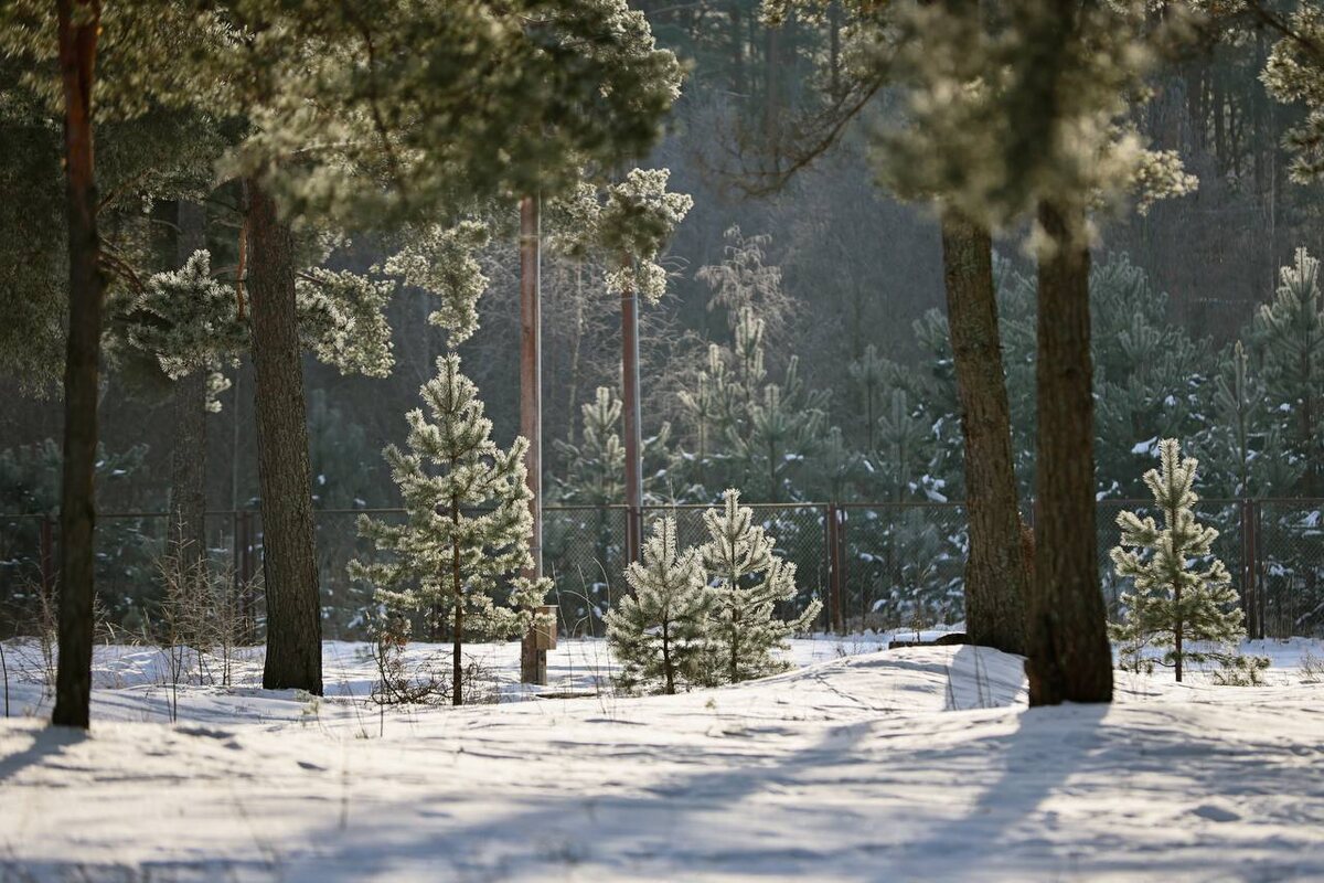 Фото: ПАИ. Фото носит иллюстративный характер