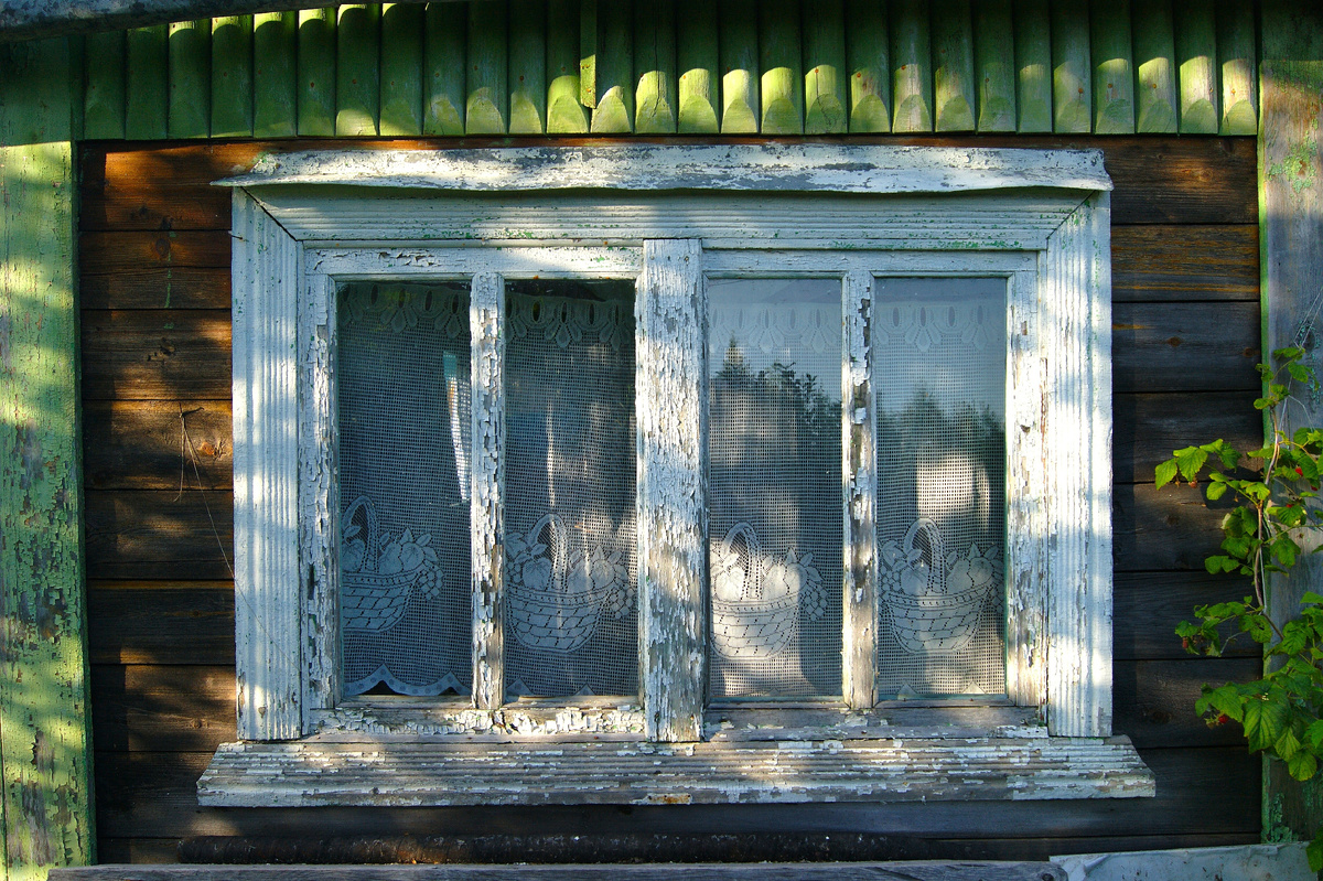 Фото: Shutterstock