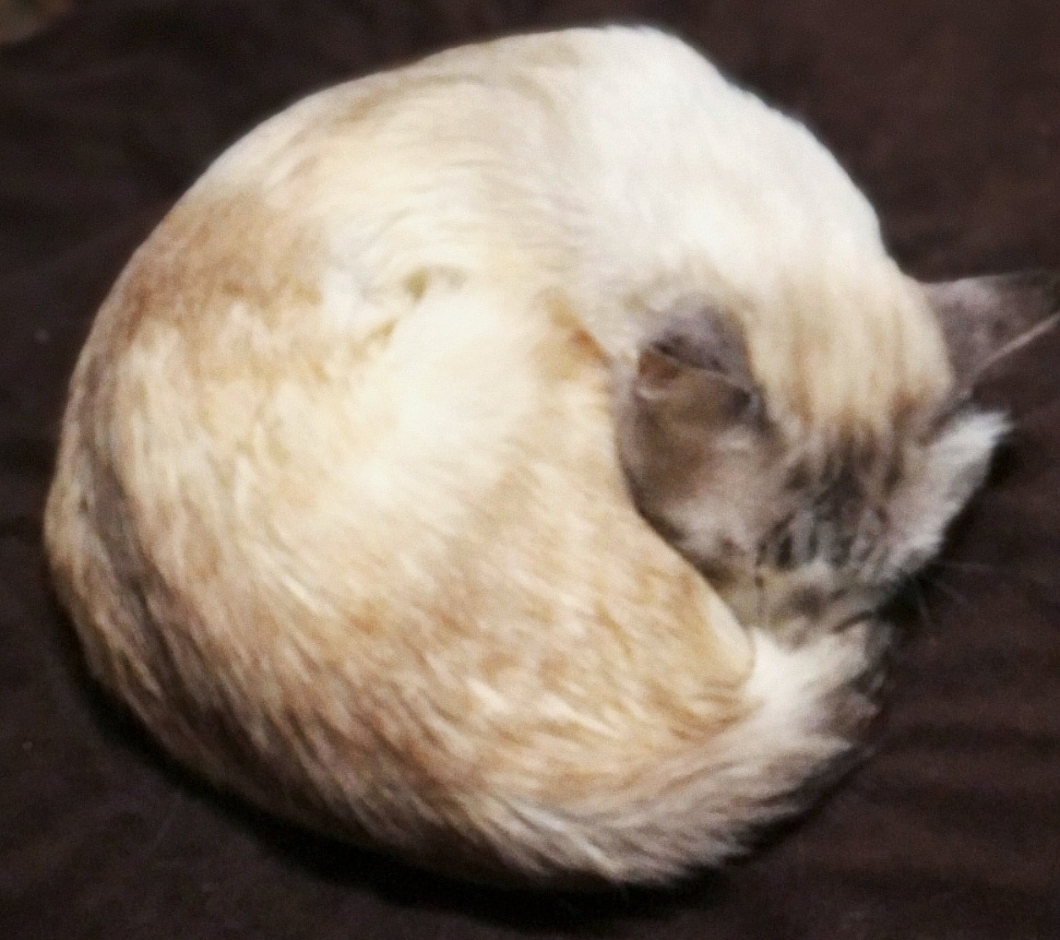 Листаем галерейку