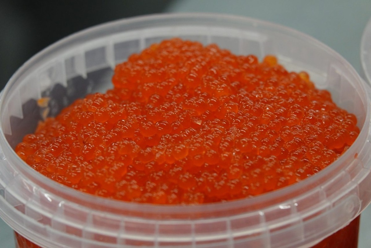    Фото: "Республика" / Даниил Рыжихин