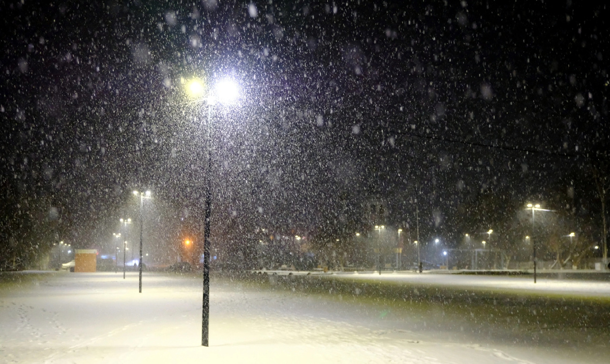 Фото И. Ковалева