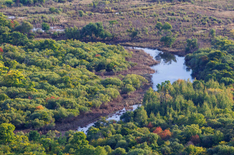   Тимур Ханов/«Парламентская газета»