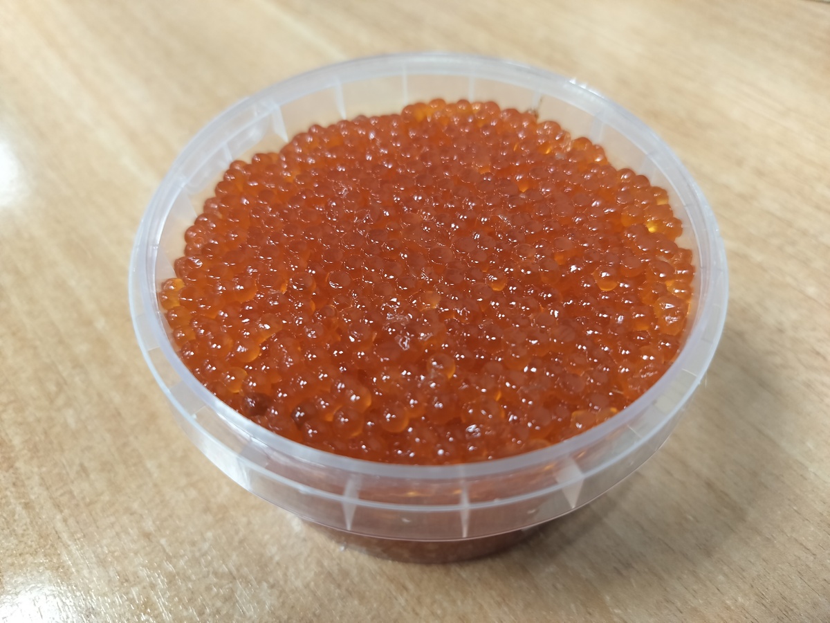    фото: © Столица на Онего