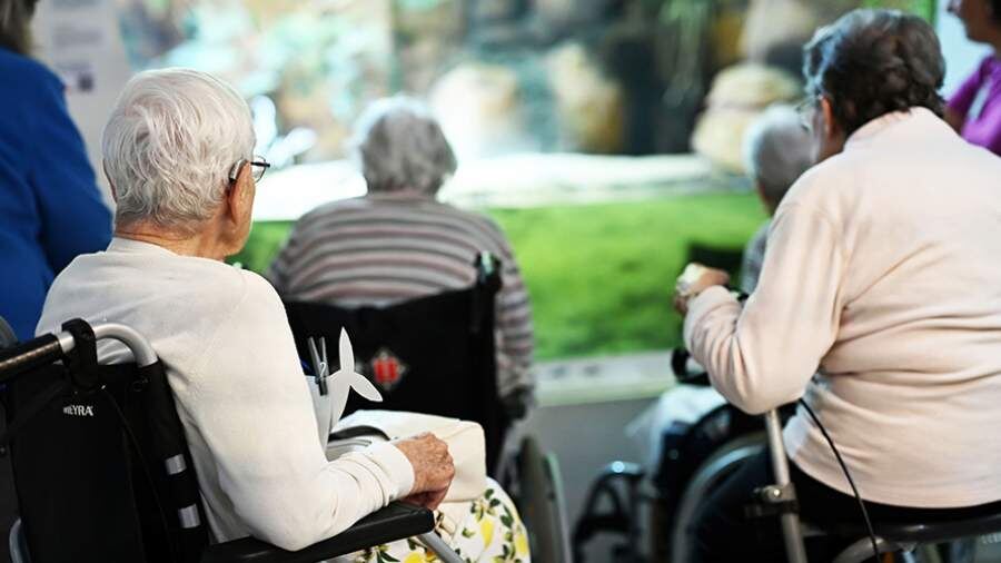    Фото: Global Look Press/Uli Deck