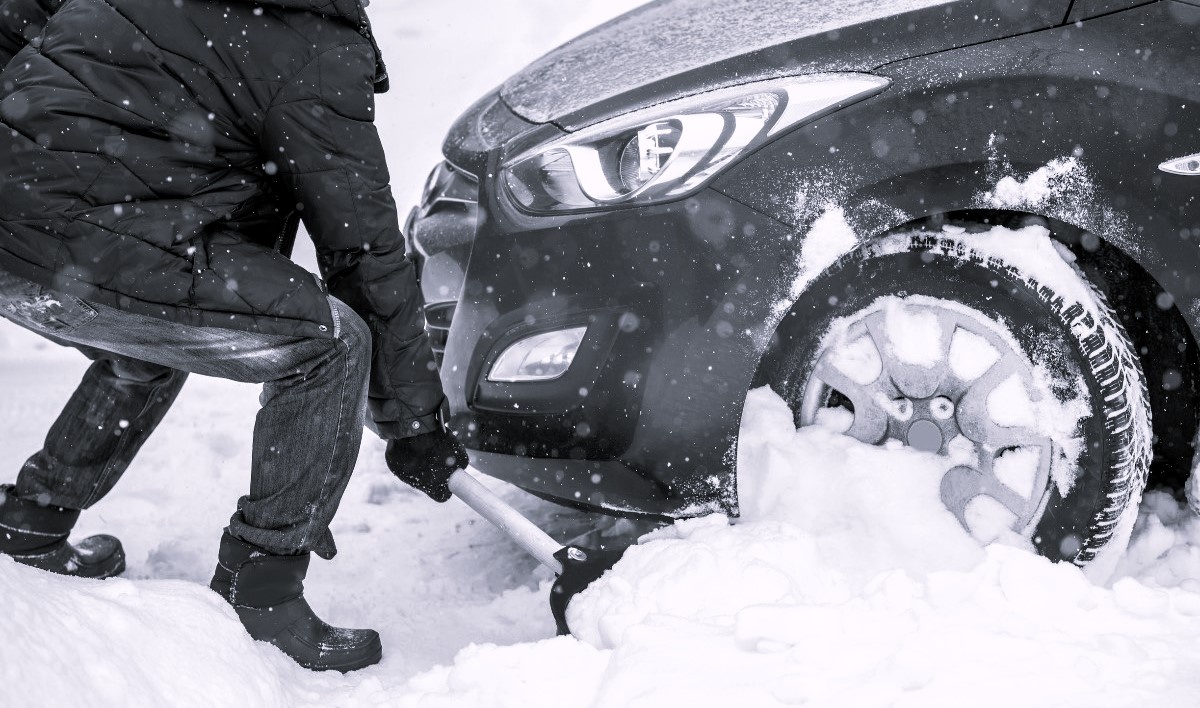 Источник Яндекс Картинки