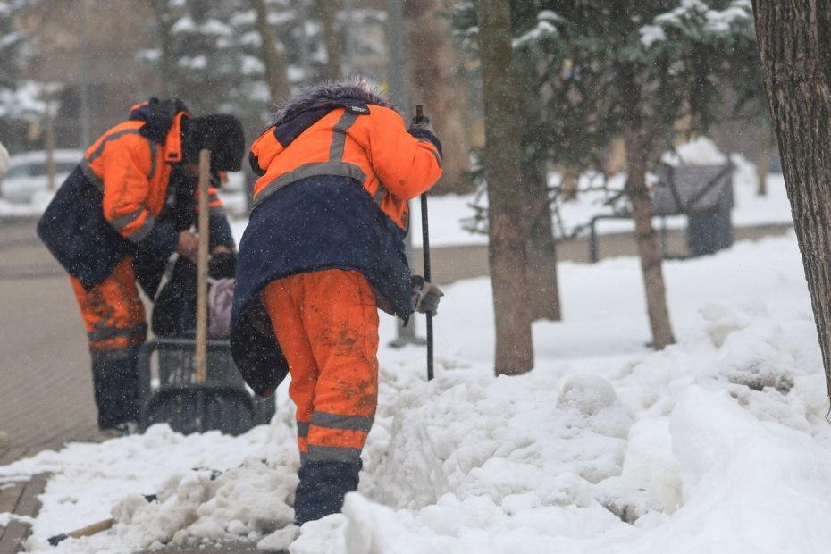    Наталья Шатохина/NEWS.ru
