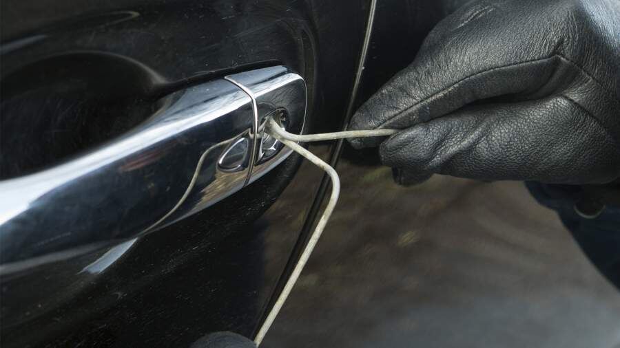 Фото: Global Look Press/Nikolay Gyngazov