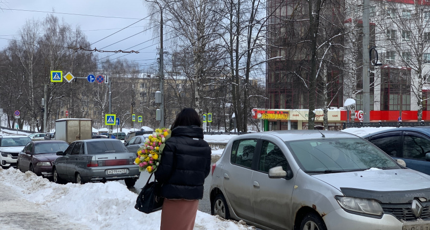    Фото progorod43.ru