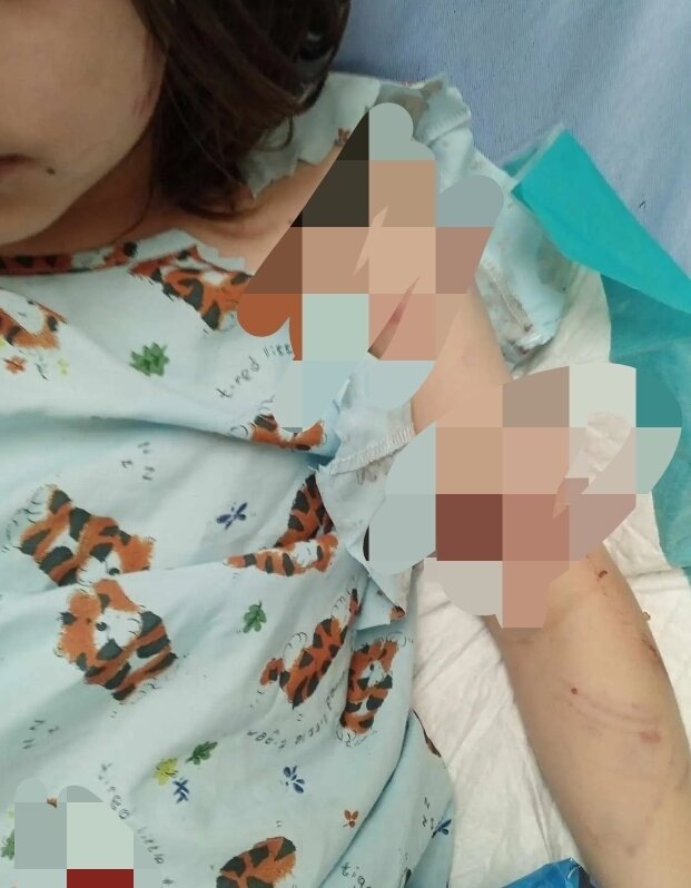 Фото из открытых источников.