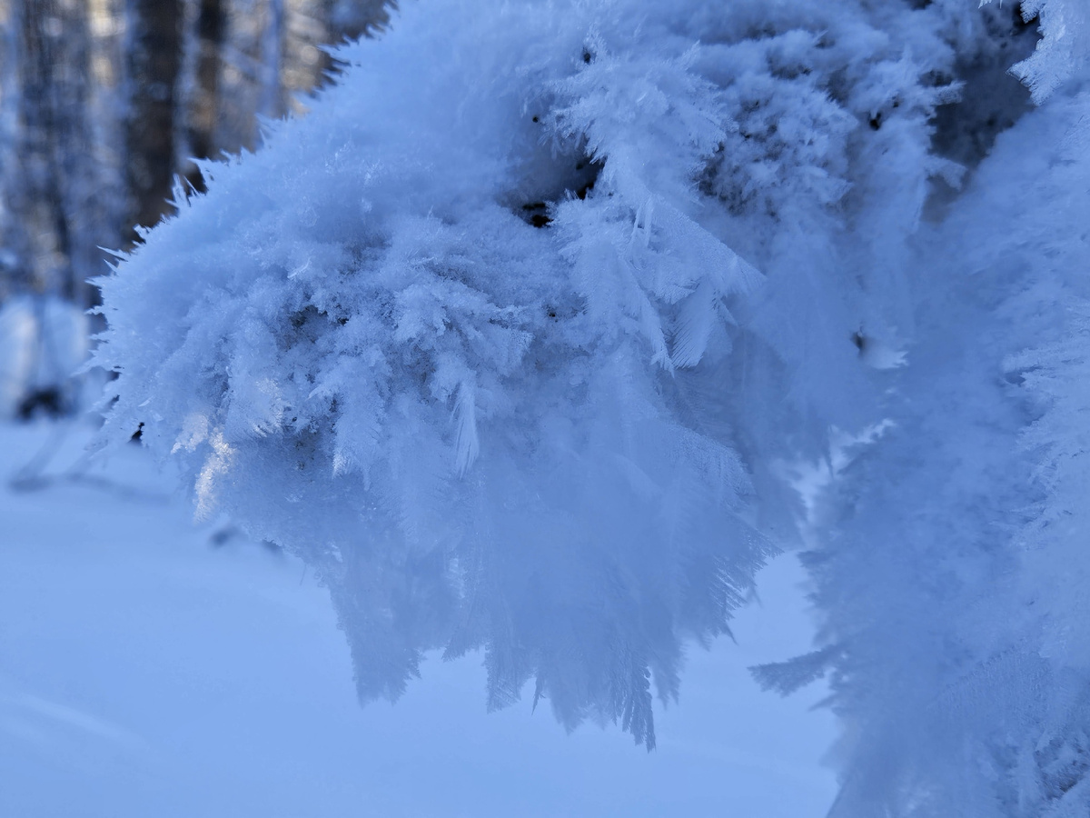 Если присмотреться, то можно увидеть снежного человека, который понуро склонил голову.