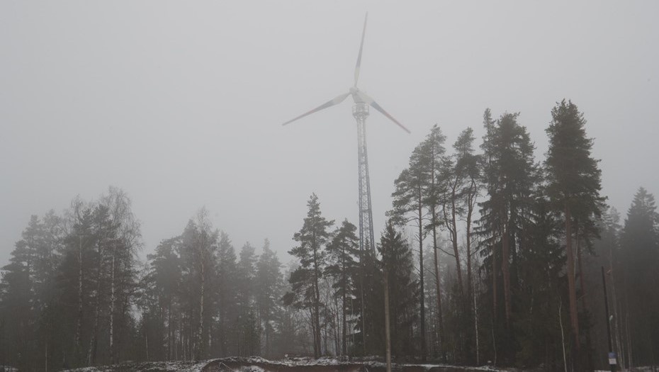 Автор фото: Антон Ваганов / "ДП"