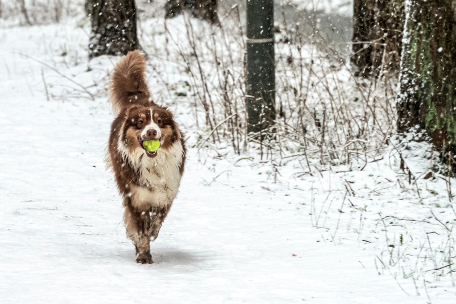    Алексей Даничев/РИА Новости