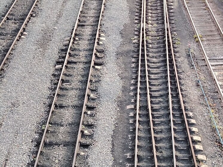     Фото: архив МК в Питере.