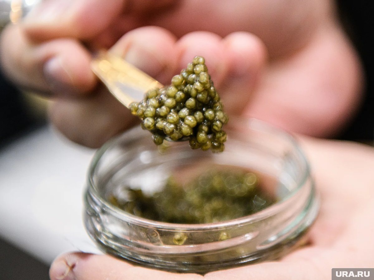     Российская икра в опте стоит намного дороже китайской из-за использования качественных кормов, объяснил Александр Новиков