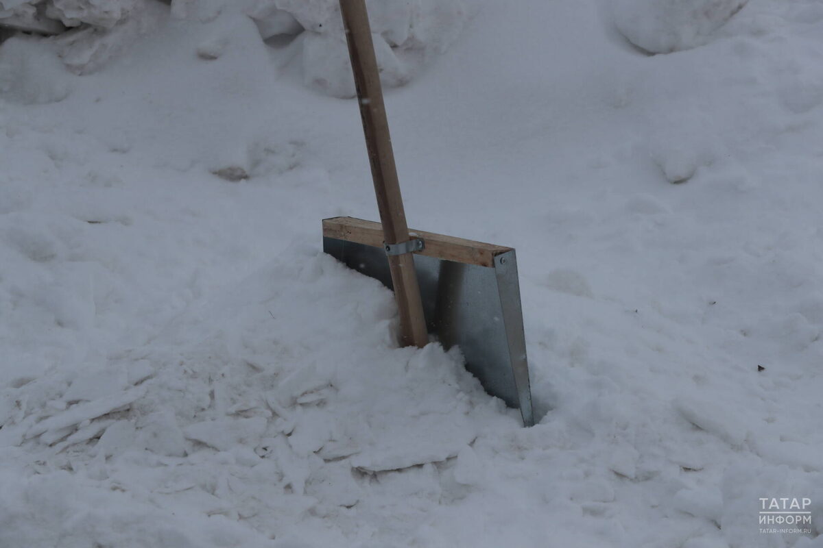 Фото: © Рамиль Гали / «Татар-информ»