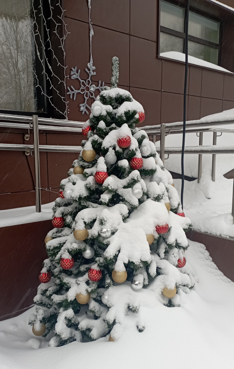 На улице елочку тоже не разобрали... 