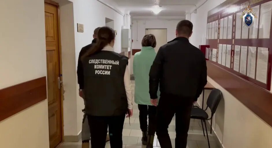    Фото: скриншот из видео пресс-службы СУ СК России по Ленобласти.