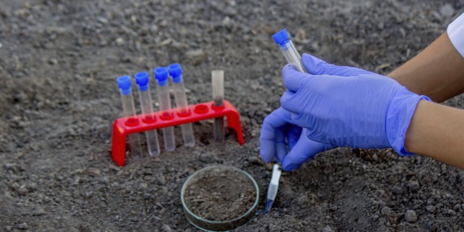    Фото: 123RF.com/anuta23