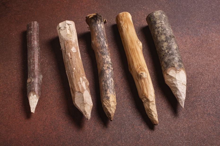    Shutterstock/FOTODOM