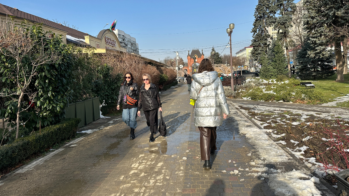 Краснодар 28 января 2026 года