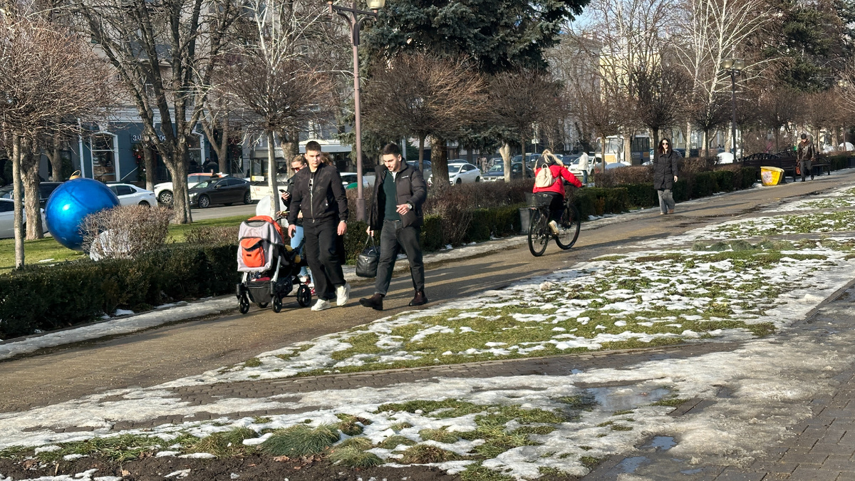 Краснодар 28 января 2026 года