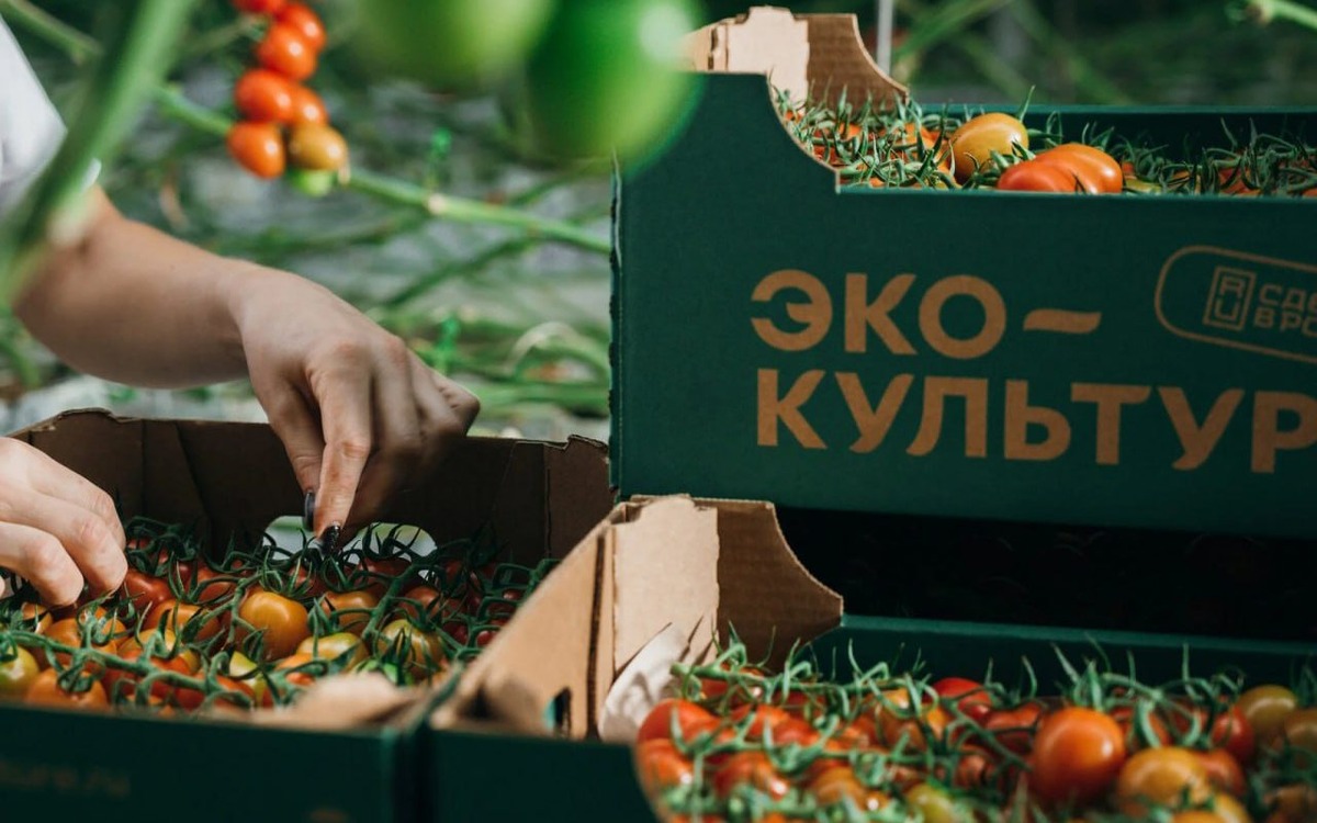    Экс-глава липецких «Овощей Черноземья» взращивает карьеру в «Эко-культуре» Фото с сайта «Эко-культуры»