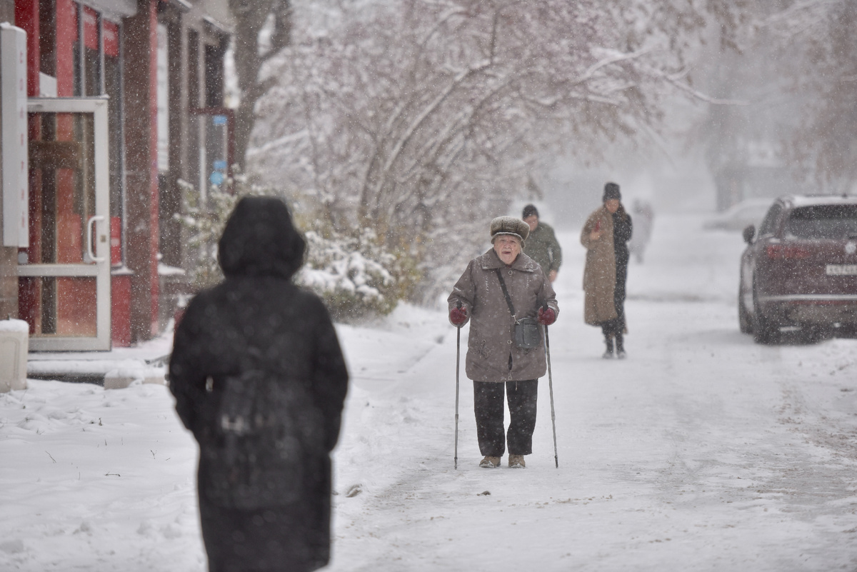 Фото: Полина Зиновьева, «Областная газета»