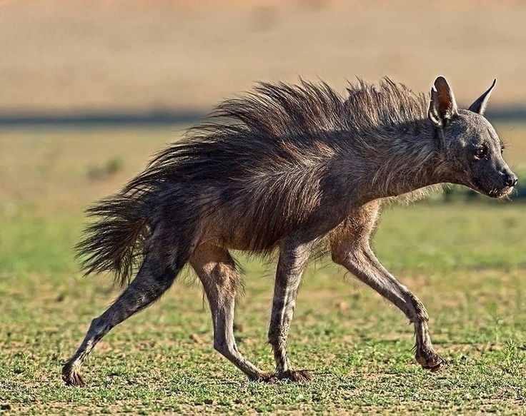 � �� ������ �������! � ����� ��������! ������ ��� ����� ��������� � ��������� �������������! 