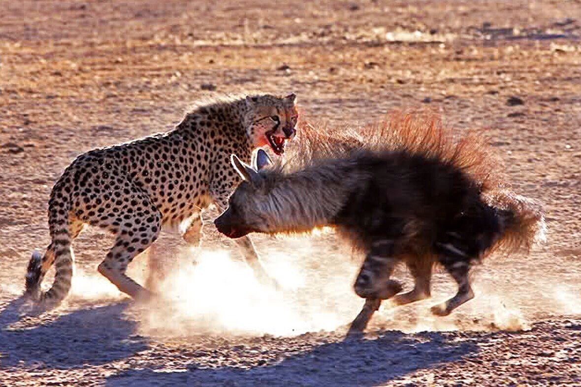 ������� ����� �� ����������! 