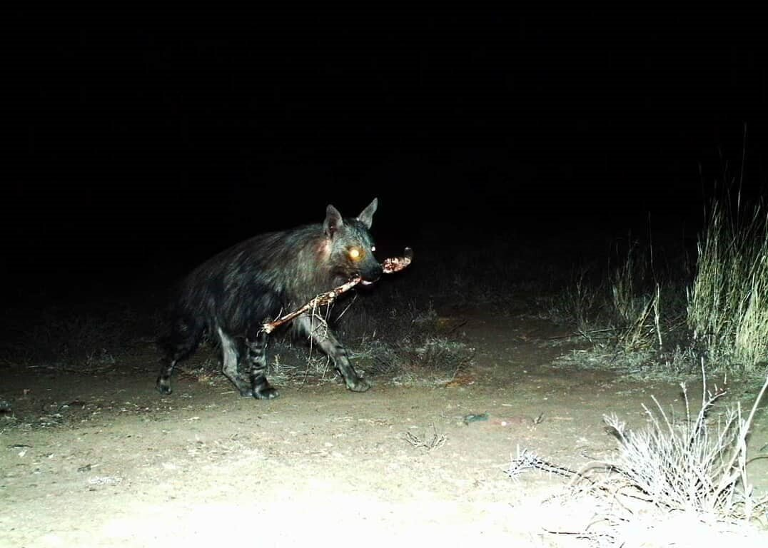 ��� ����� ������� �� �����, ������� ��� �������� � 3 ���� ����. 