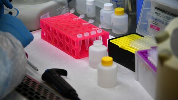    © Sputnik / Виктор Толочко