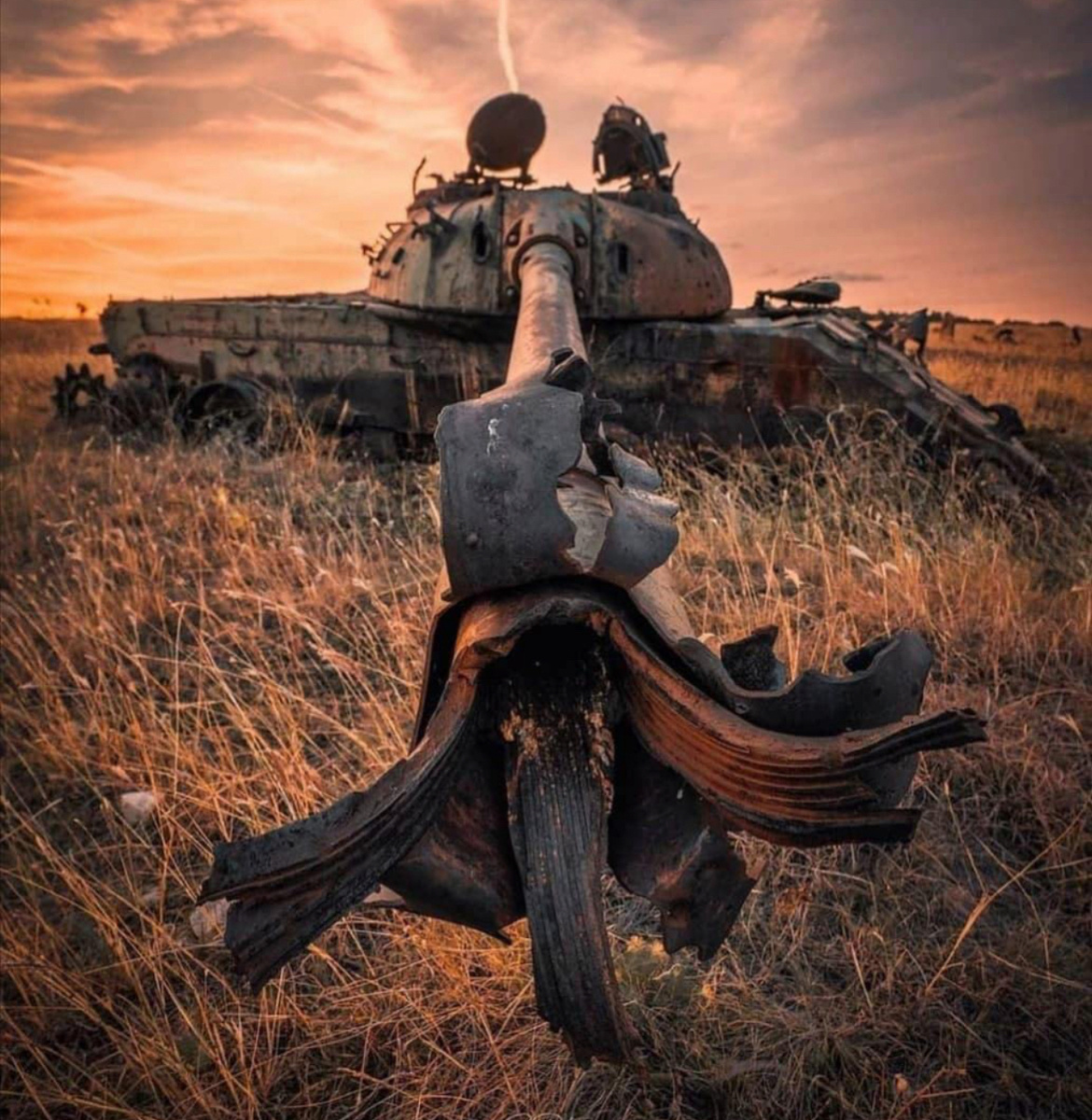 Фото из сети.