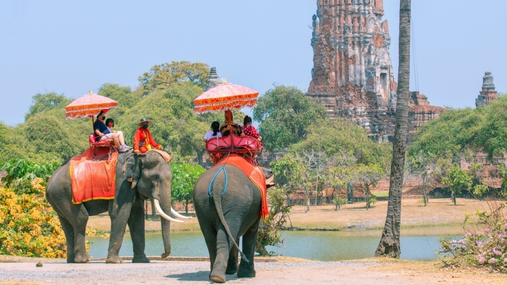     Фото: Jack Suvarnabhumi/Shutterstock/FOTODOM