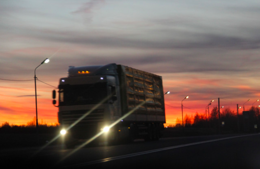    Фото: Елена Костюченкова