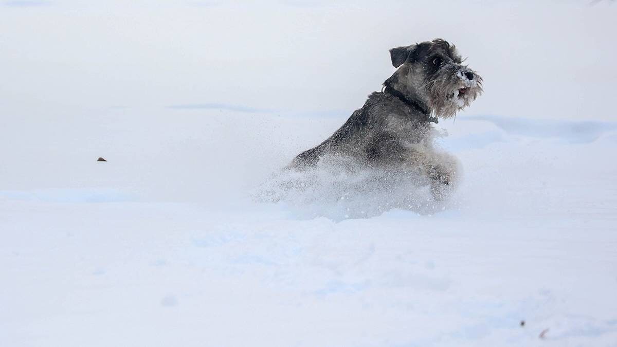    Фото: Ярослав Чингаев / АГН Москва