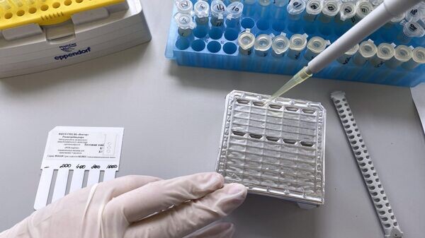    © Sputnik / Пресс-служба научного центра вирусологии и биотехнологий "Вектор"