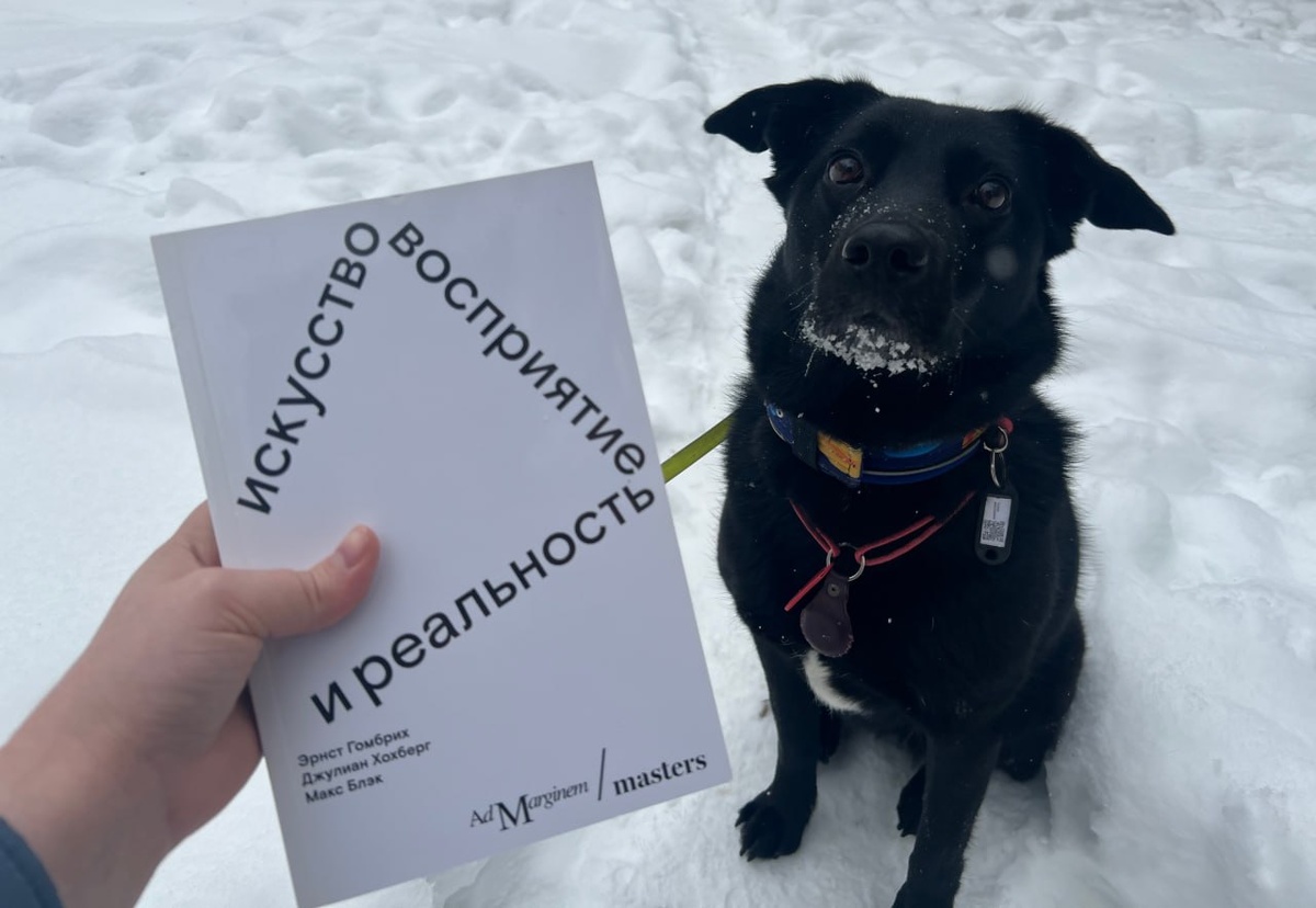 Книга «Искусство, восприятие и реальность» и собака искусствоведа (по кличке Сузука)